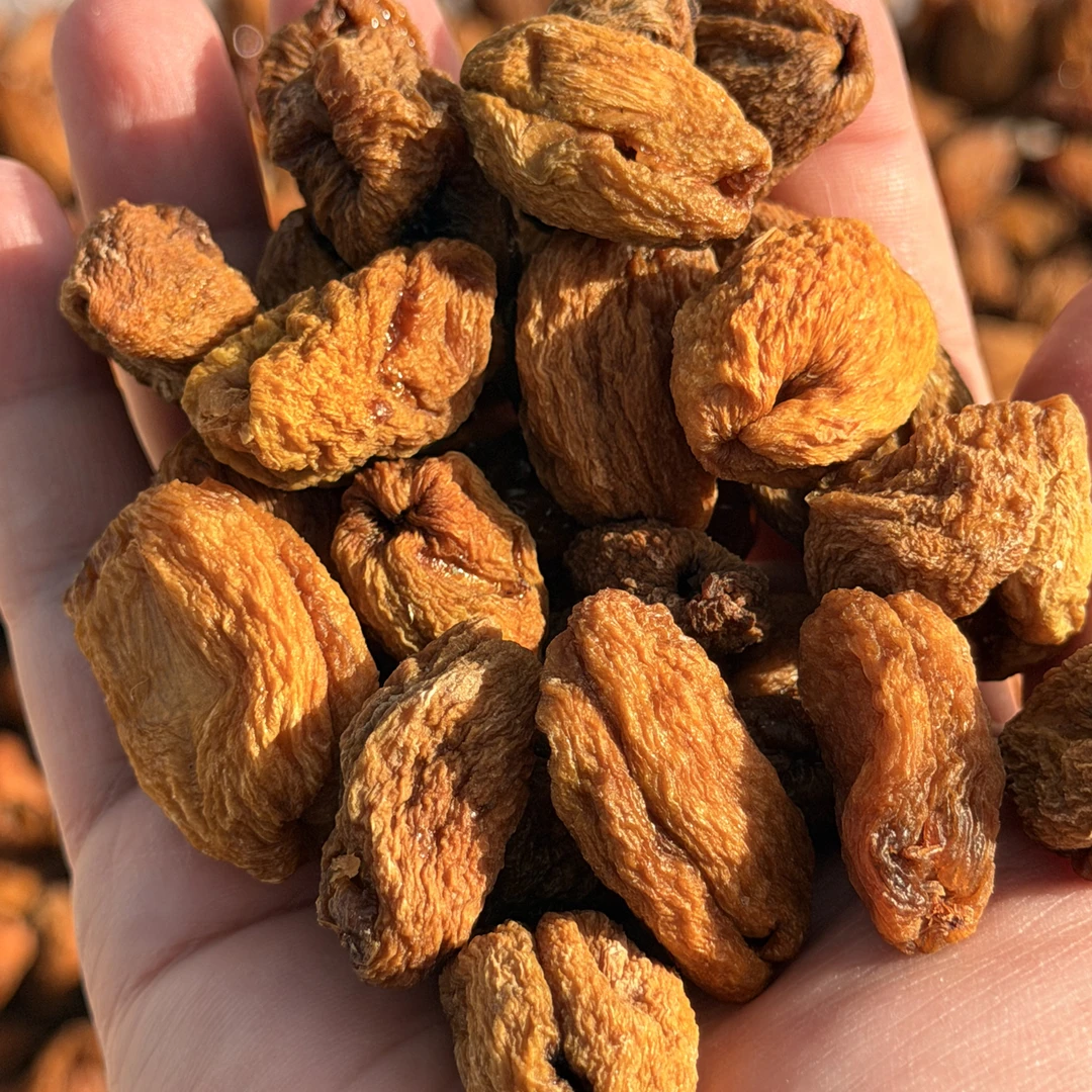 250克轮台无核杏干 （无核杏肉）酸甜 新疆特产  天然 无添加 包邮