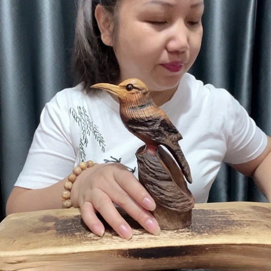 建***哥木百年树的设计理念