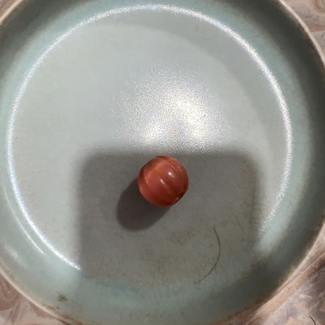 碟588885558969966666