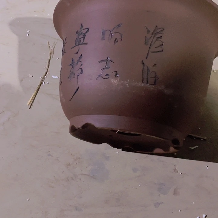 紫砂30平角金钟花盆花盆