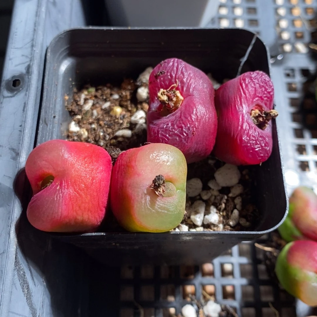 13167一组一组一组