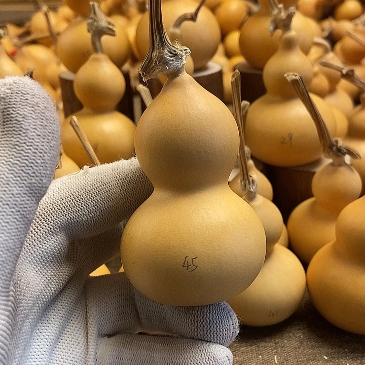 文玩葫芦 完美主义者 慎拍45