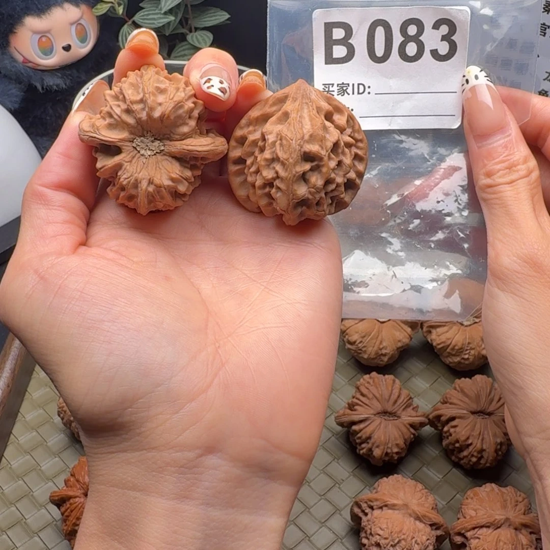 吊坠龙脊菩提全品头货对龙门涧41