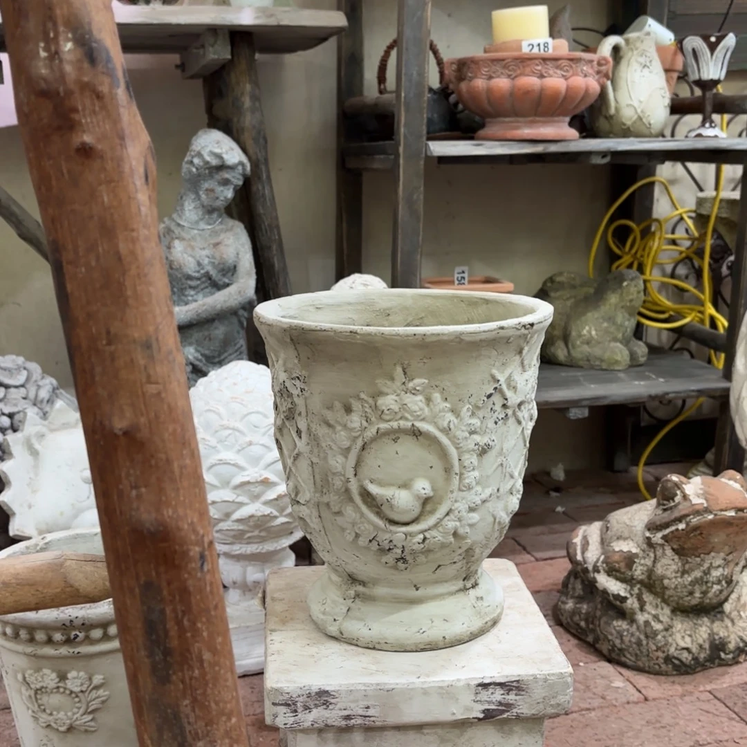 许纯的花房 福利鸟盆