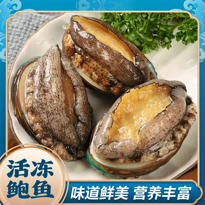 东山岛活冻鲍鱼9-10头/斤250g/包*8到手40个活冻锁鲜
