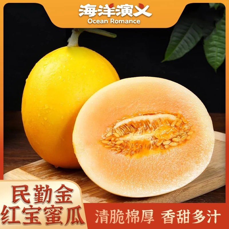 海洋演义 民勤金红宝蜜瓜 2.5斤/个