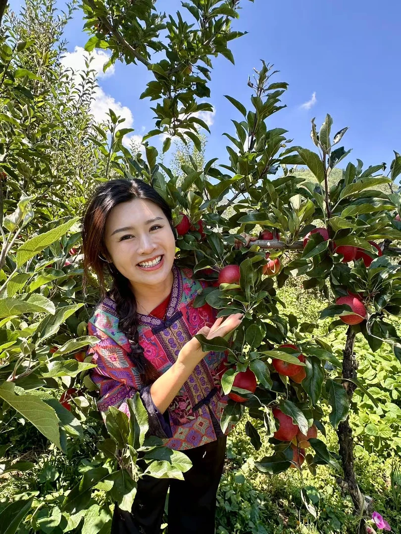 【顺丰包邮】大凉山盐源嘎啦小苹果