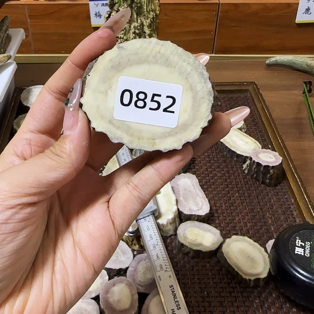 手串/手链鹿骨0852片