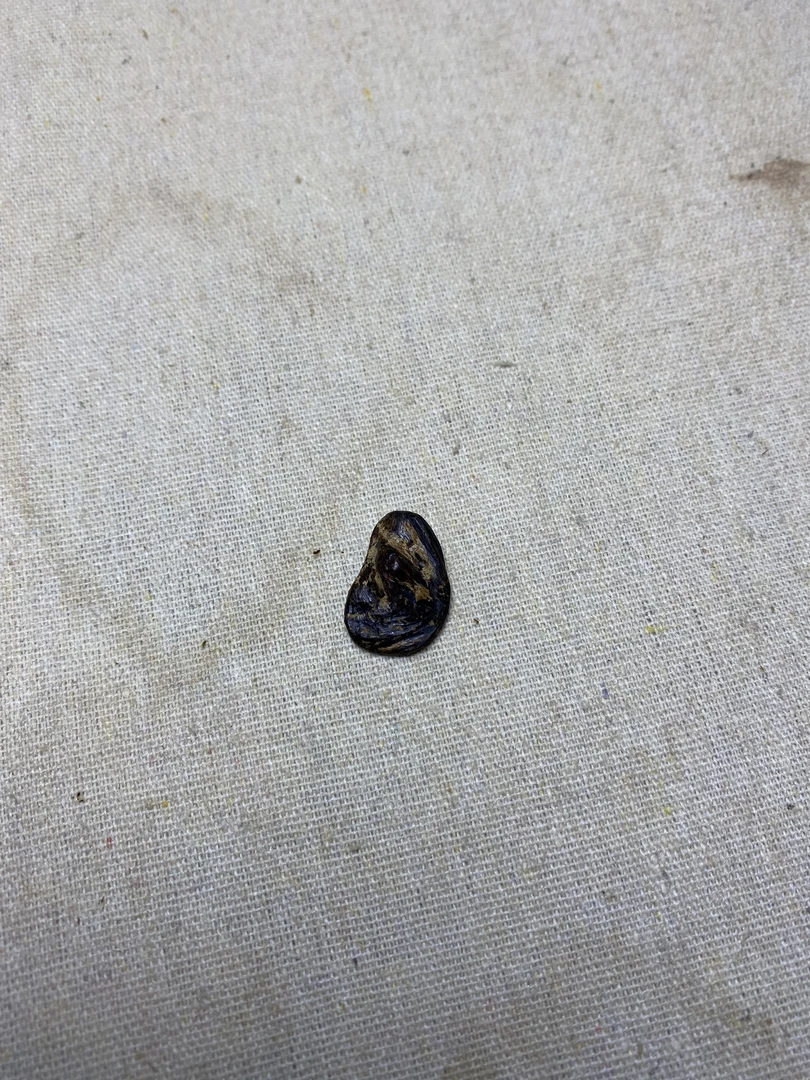 香薰碎料/达拉干/0.5克左右