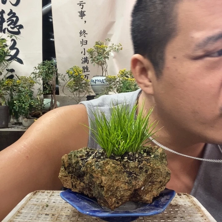 无花朵退款拉黑拉黑