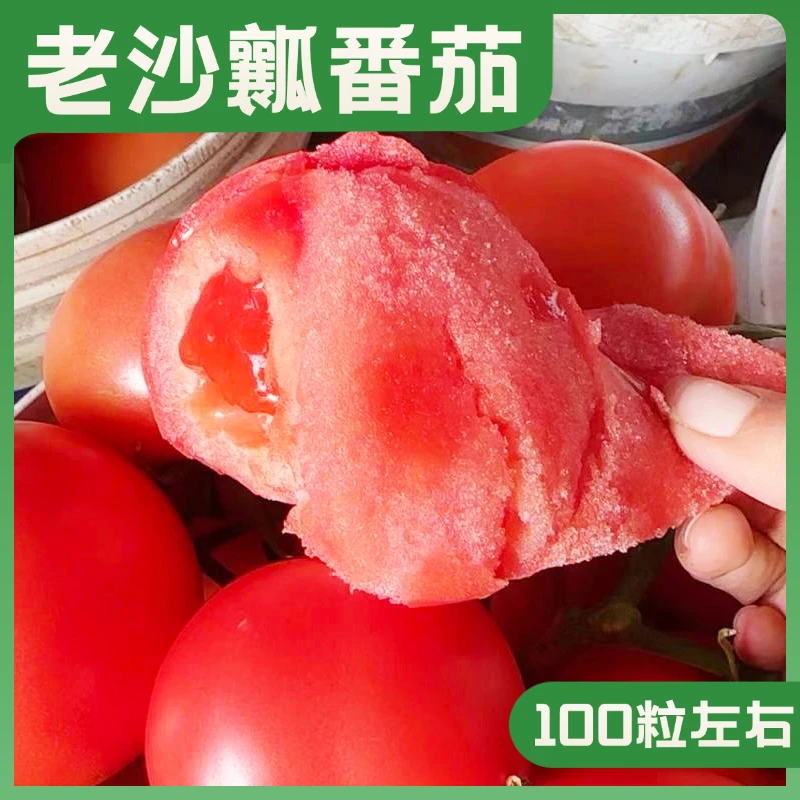 老沙瓤番茄种子大粉毛粉番茄西红柿种子优质品质番茄种籽甄选使用