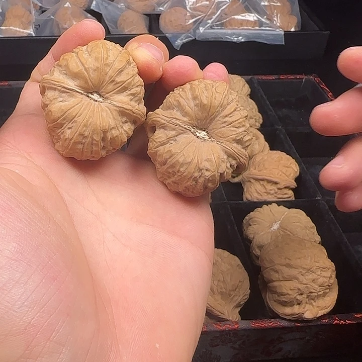 阿***锅吊坠龙脊菩提啊啊啊啊啊啊啊南瓜3