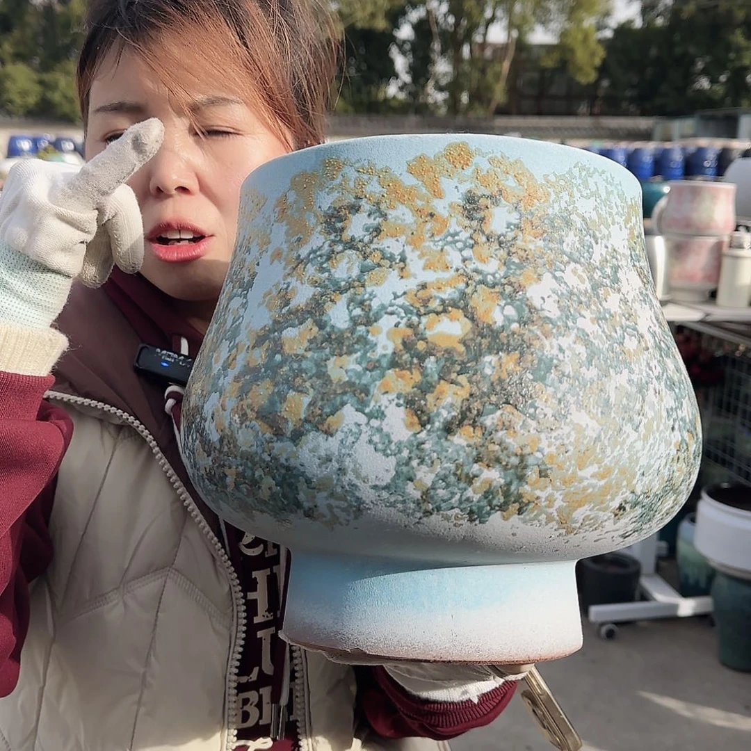 王嫂花盆直播1127-420高25口22