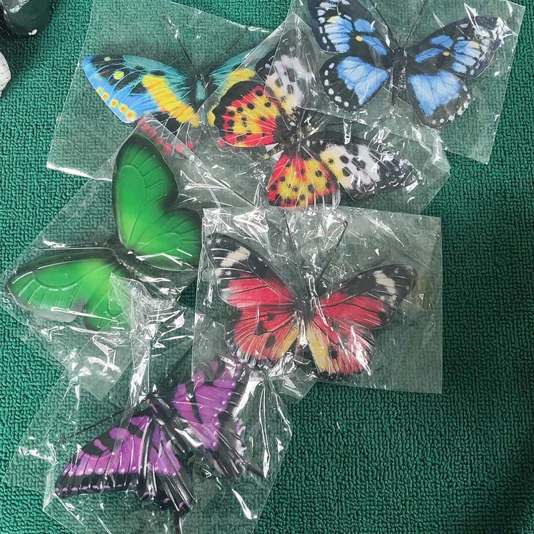 孤品炸炸炸炸炸炸