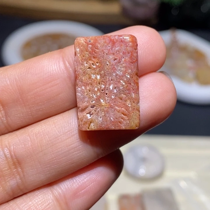 【闪购商品】未镶嵌珊瑚玉硅化玉