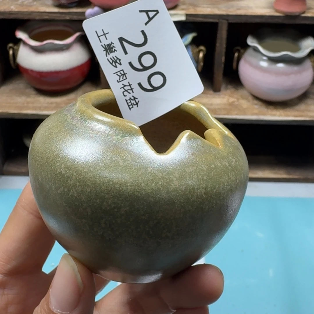 大***子陶瓷艺术设计与制作