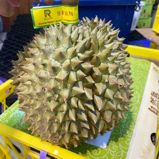 【皇家农场】定制版树熟金枕鲜榴莲1份（一果一重，一物一拍，果核小，默认剥果）金枕泰国越南