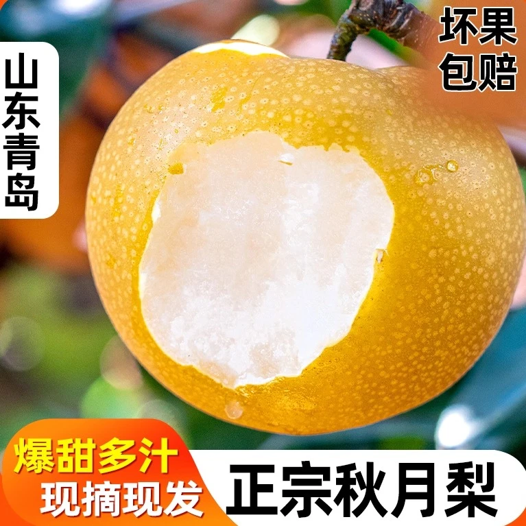 正宗山东秋月梨当季水果新鲜现摘整箱礼盒爆甜无渣冰糖梨子包邮