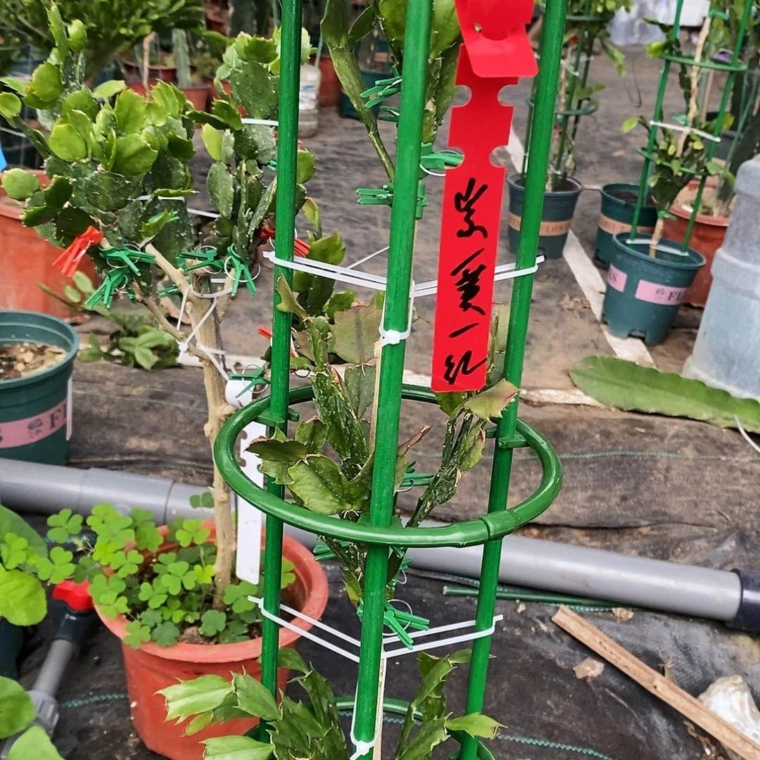 渔***2完全开放福利款三层