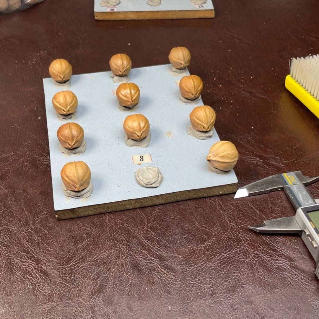 手串/手链橄榄核很*21.26三卡梅林铁核加四花三通