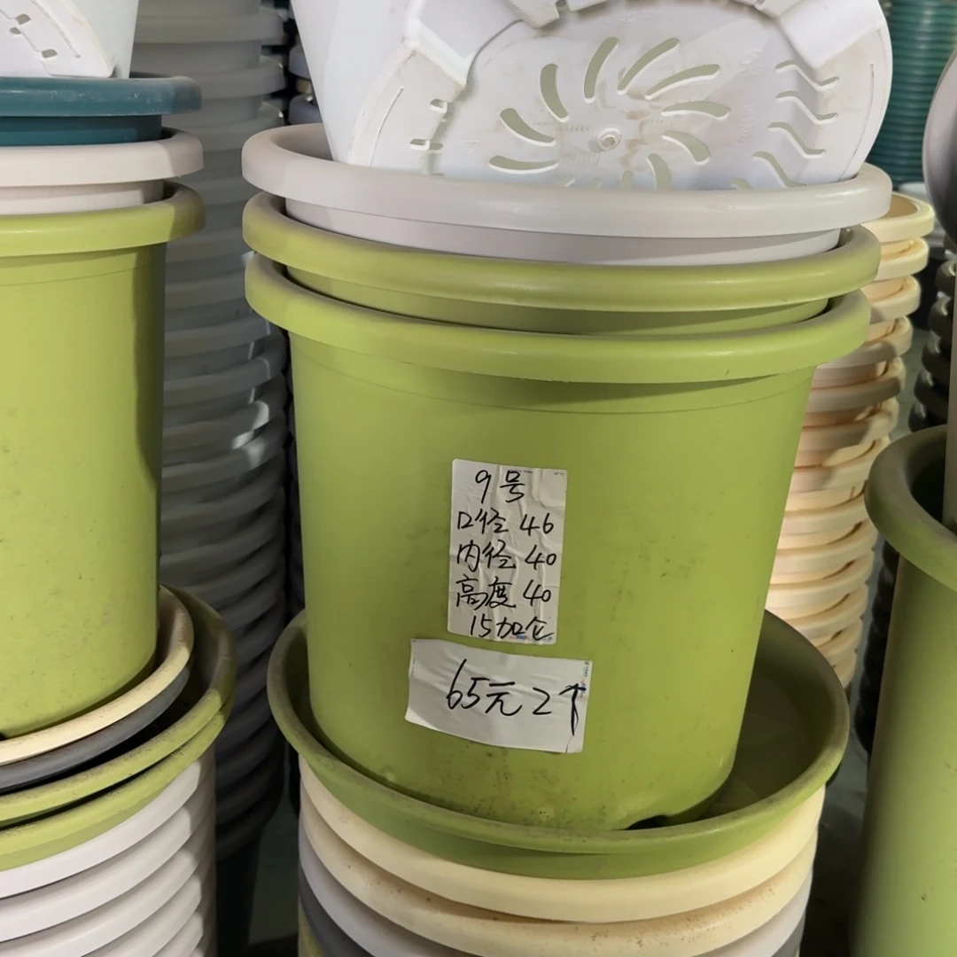 四季9#口径46无拖果绿2个