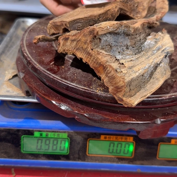 6***.崖柏太行崖柏易县料