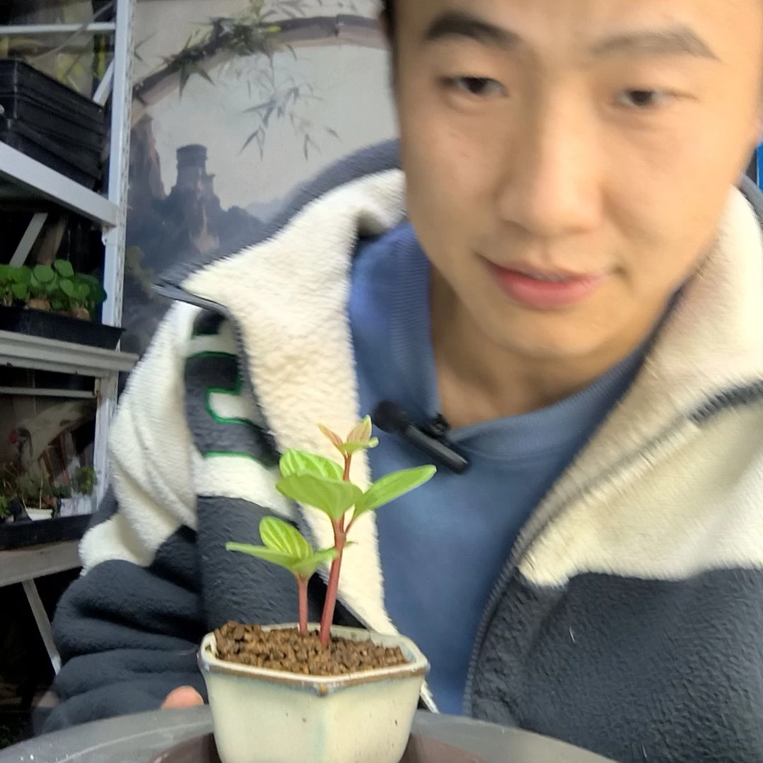 比***鱼中青园艺一物一拍133