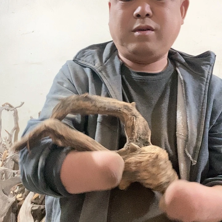 北太行山崖柏毛料