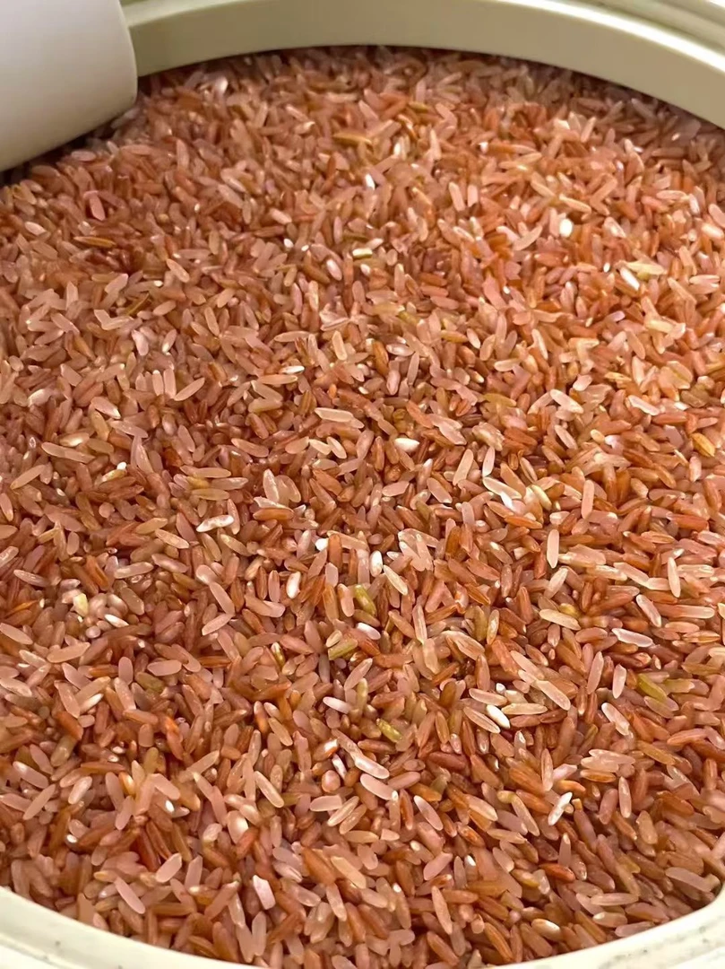 潮汕本地芋香味赤米可煮饭煮粥