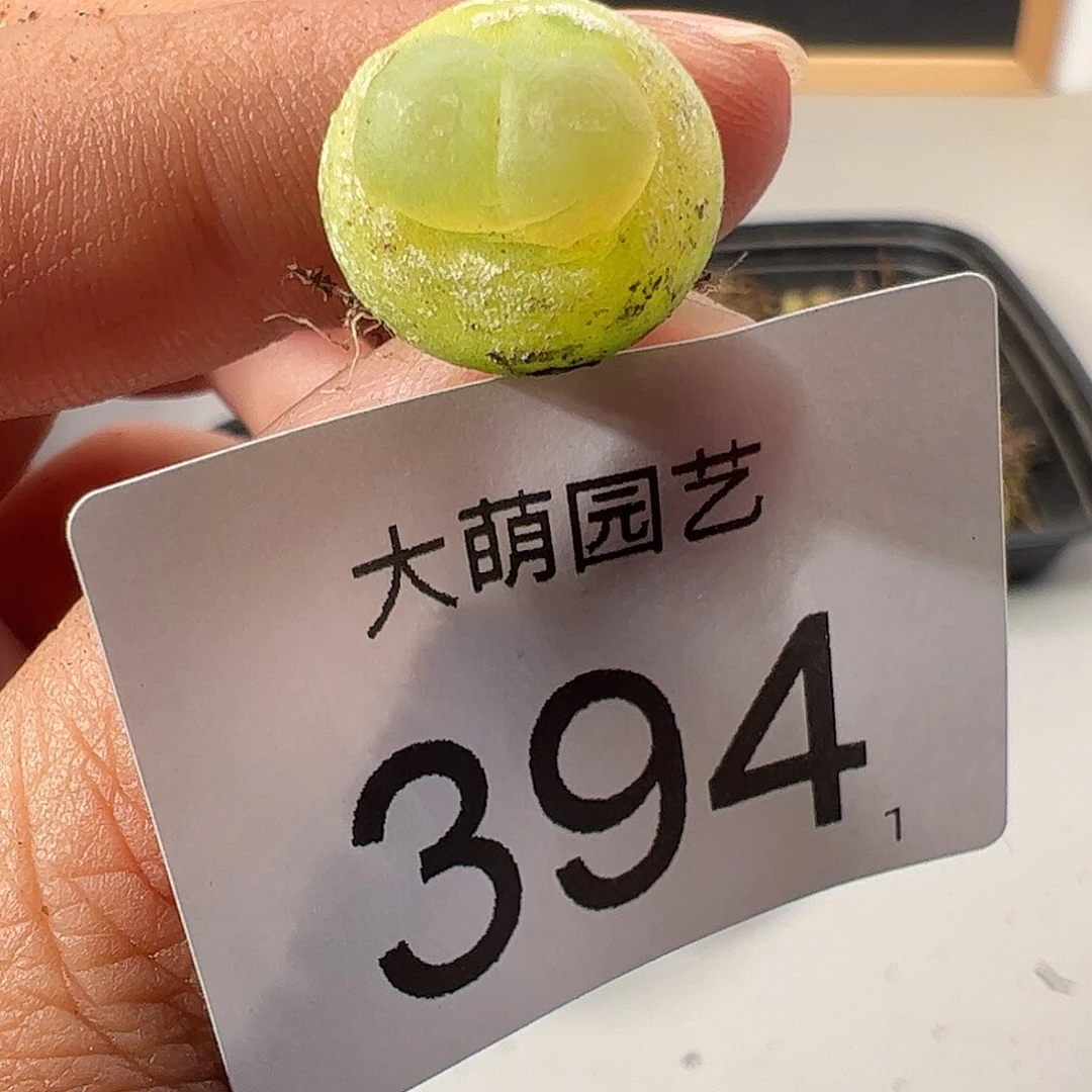 0000394 一物一拍……