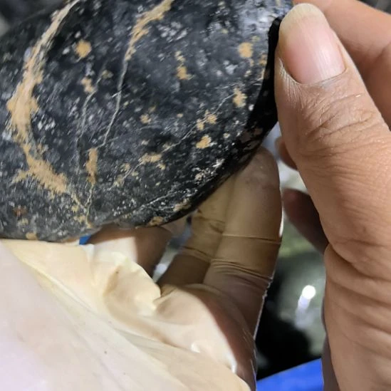 用***7藏玉药王石原石一个摆件