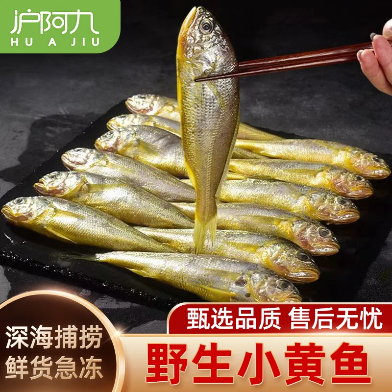 鲜冻【沪阿九】（小黄鱼）东海野生鱼冰鲜货急速锁鲜 500g* 4顺丰包邮