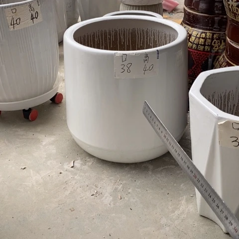 低腰白水滴特大 口38/40