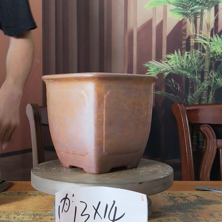 来来来啦咯啦咯啦咯