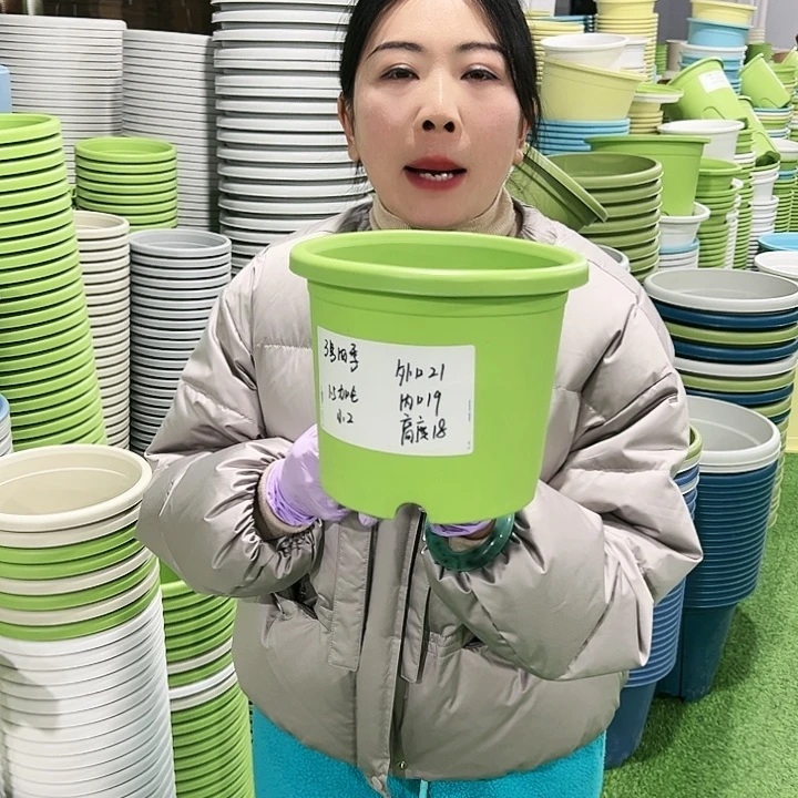 特价3号四季口21高18果绿10只无托