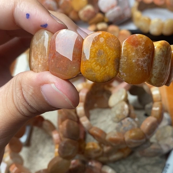 五***鱼颈饰未镶嵌硅化珊瑚（珊瑚玉）