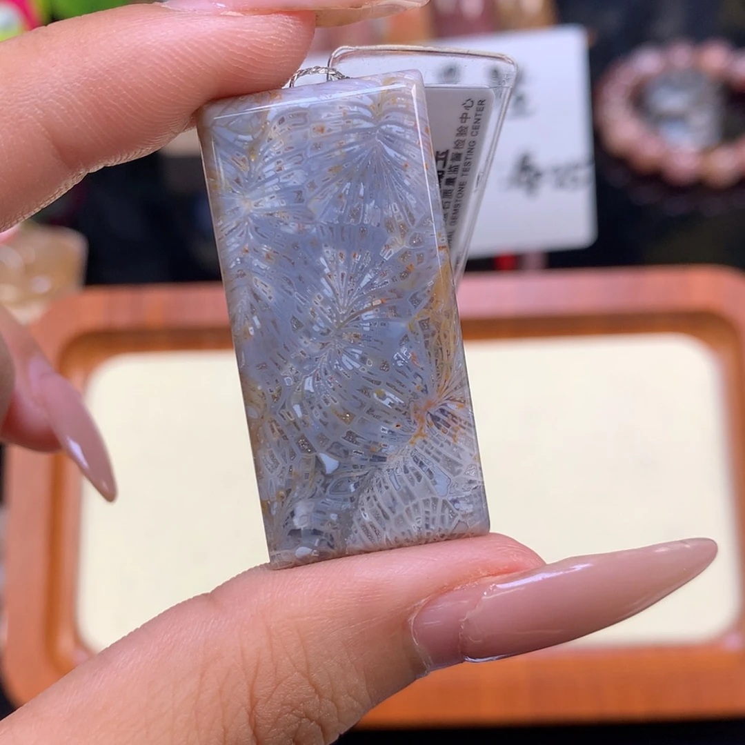 【闪购商品】颈饰未镶嵌硅化珊瑚（珊瑚玉）药*