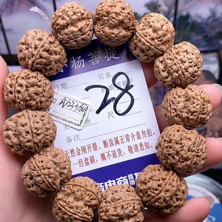手串金刚菩提23.5/24双龙