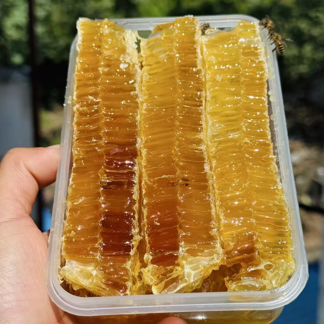 野生土蜂巢蜜秦岭深山木桶天然土蜂蜜