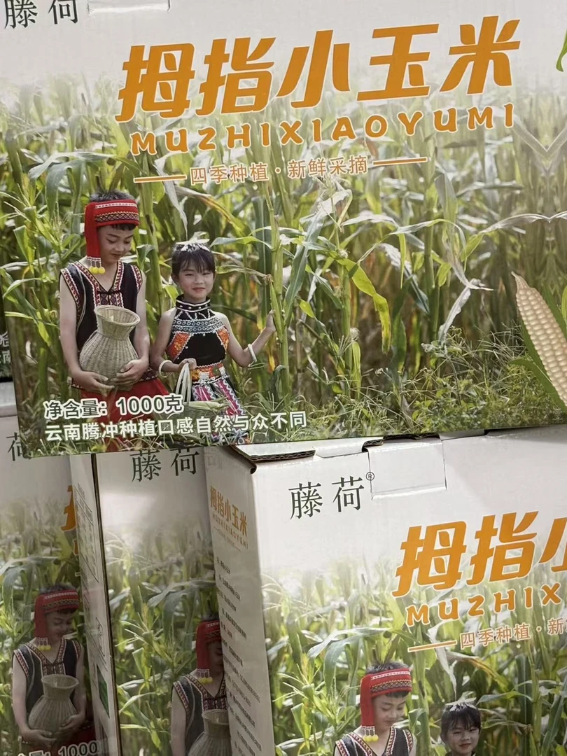 拇指小玉米云南腾冲本地种植软糯香甜藤荷拇指小玉米