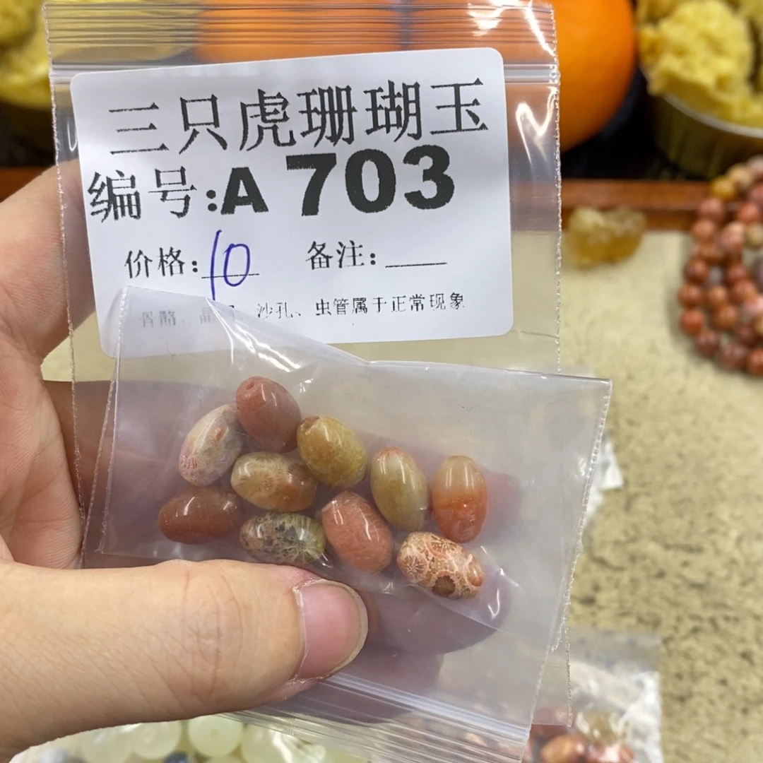 硅化珊瑚（珊瑚玉）1未镶嵌墨*