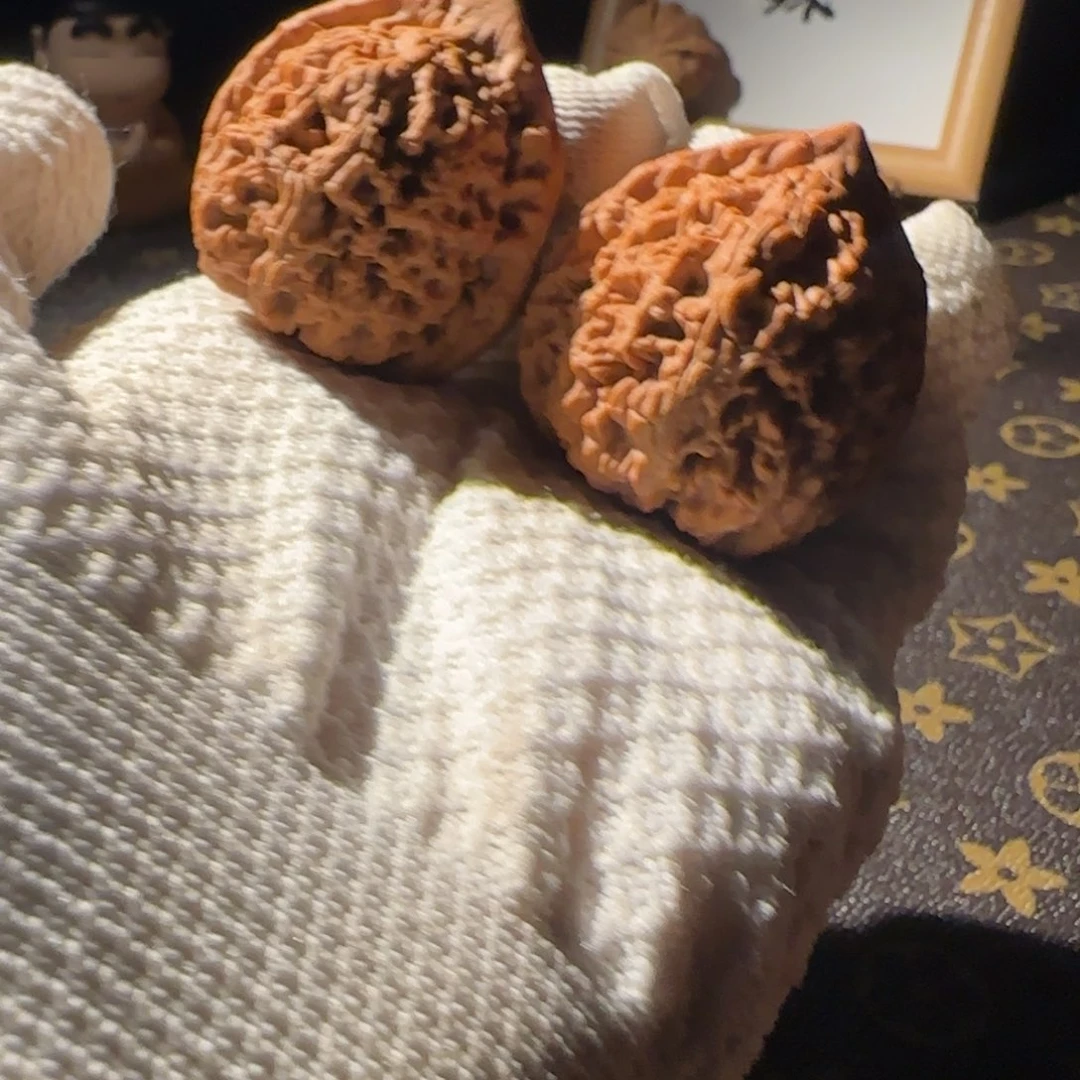 羊羔毛哈哈哈哈哈哈哈