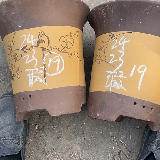 紫砂工艺厂……紫砂工艺厂……