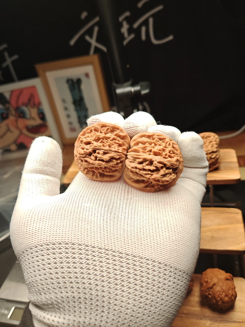 麻核桃四座楼全品