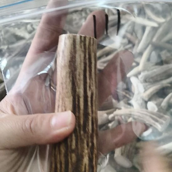 阿***木鹿角鹿角鹿角鹿角鹿角鹿角