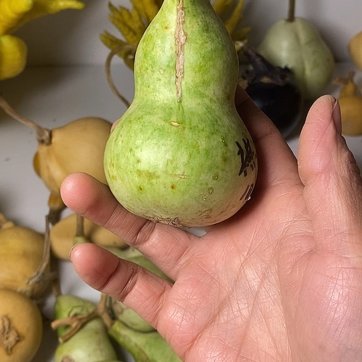 ****芙异性葫芦手把件葫芦