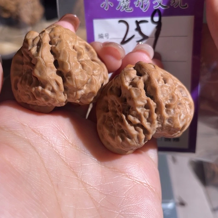 五***一259号 哇啊啊啊啊 38888