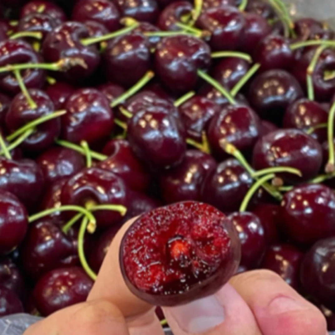 智力进口5JJJJJ拉冰丝车厘子原封原箱五斤