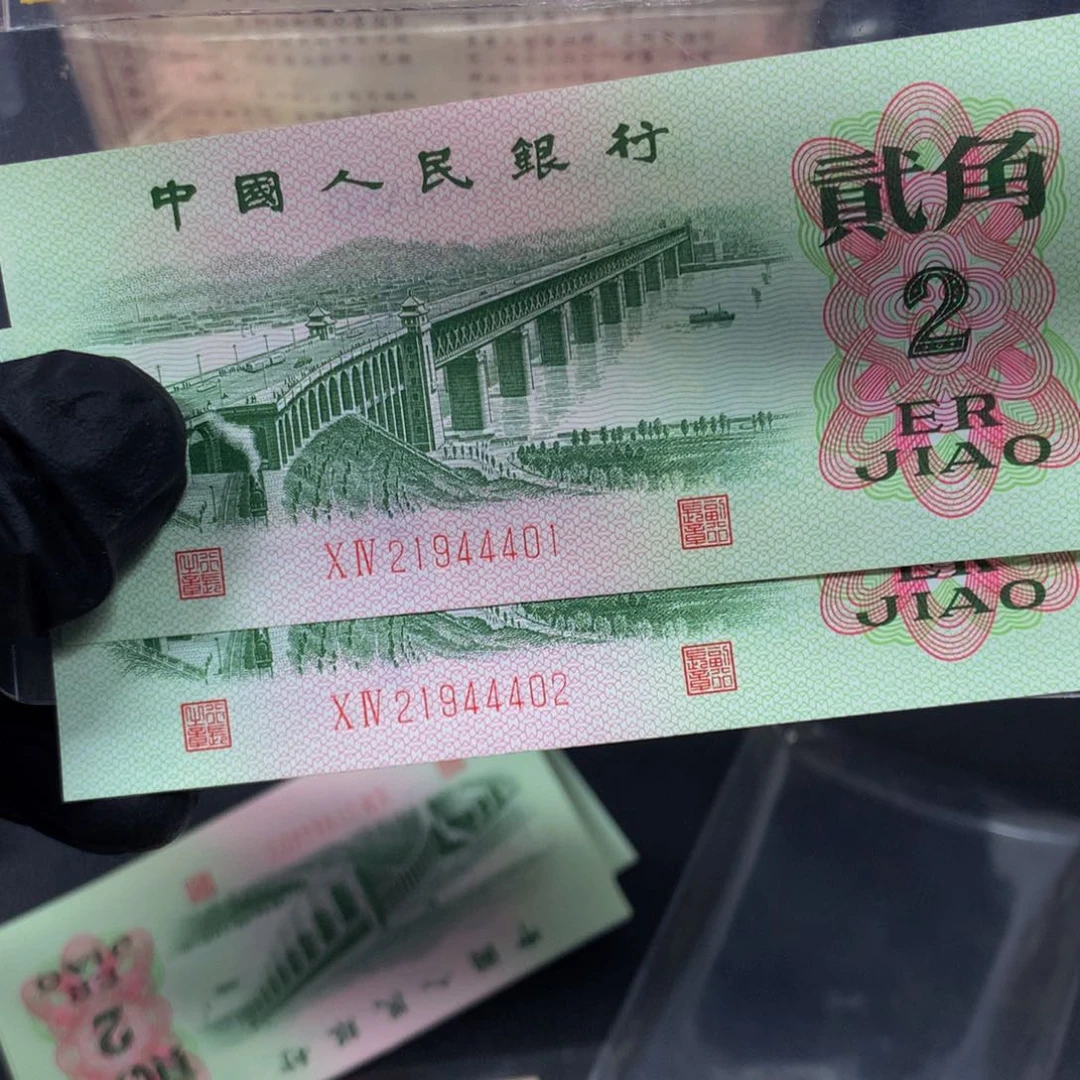 Y**.大桥两张两张两张两张两张