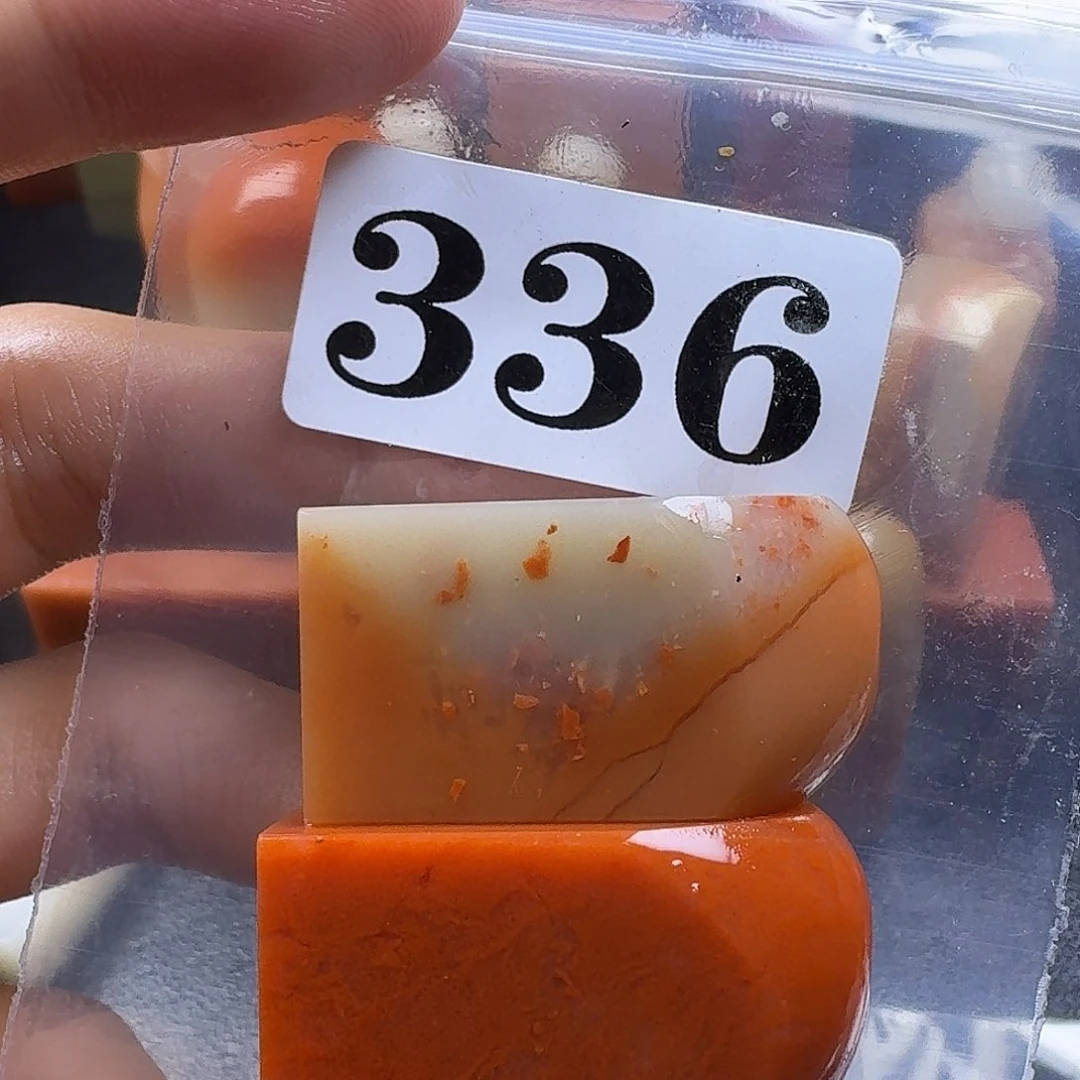 老挝石长*鸮kkkkkkkkkkm